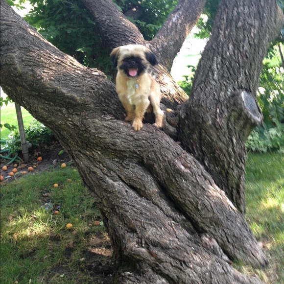 Meet your Posher, Missy - Picture 7 of 8